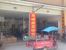 四川省綿陽(yáng)市南峰蔬菜研究所
